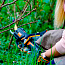 Секатор WORX WG330E.9, 20V, бесщеточный, без АКБ и ЗУ